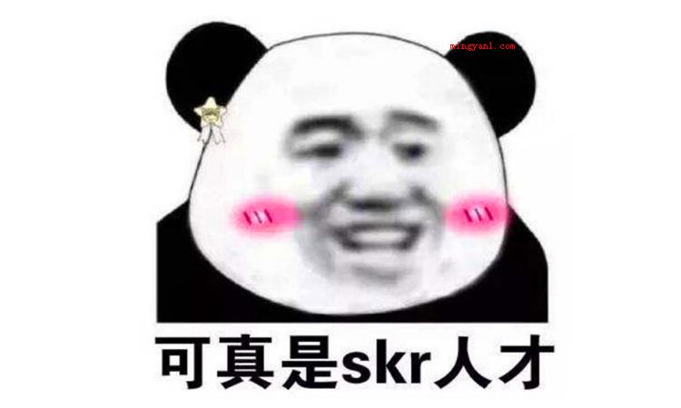 skr什么意思