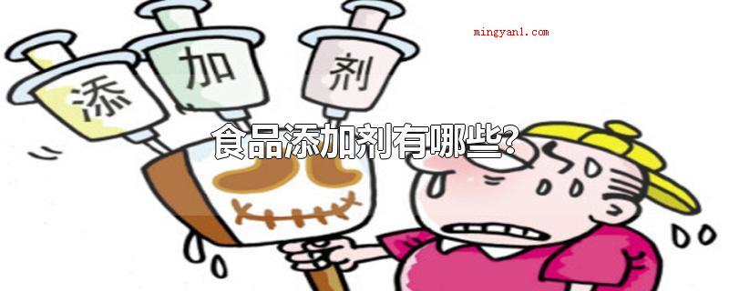 食品添加剂有哪些?