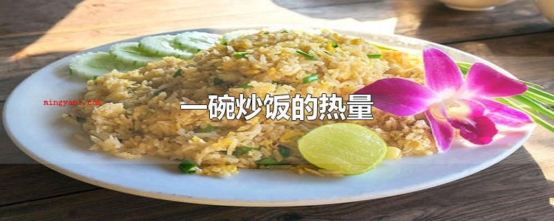 一碗炒饭的热量