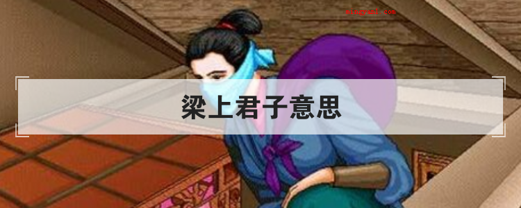 梁上君子意思