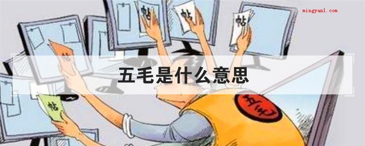 五毛是什么意思