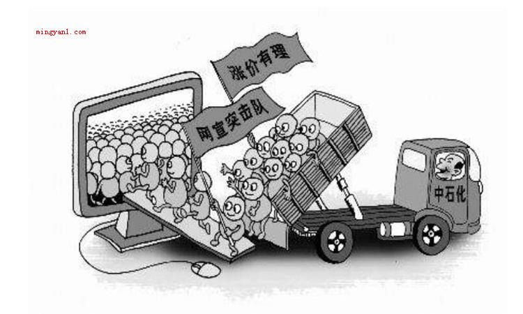 五毛是什么意思
