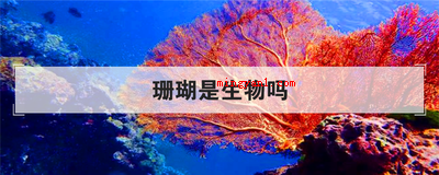 珊瑚是生物吗