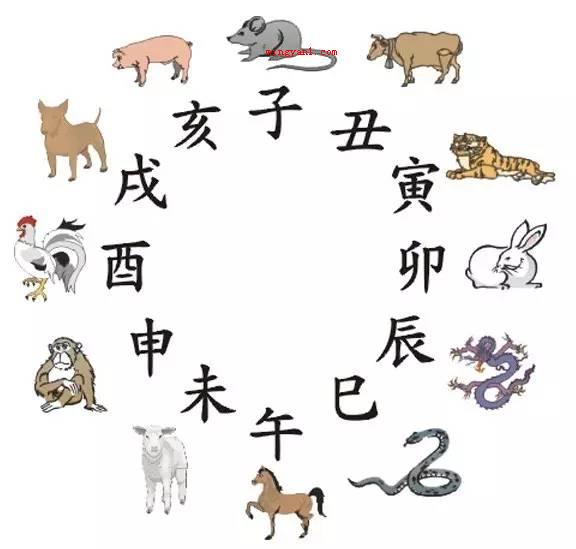 子丑寅卯辰巳午未申酉戌亥时间表是怎样的?