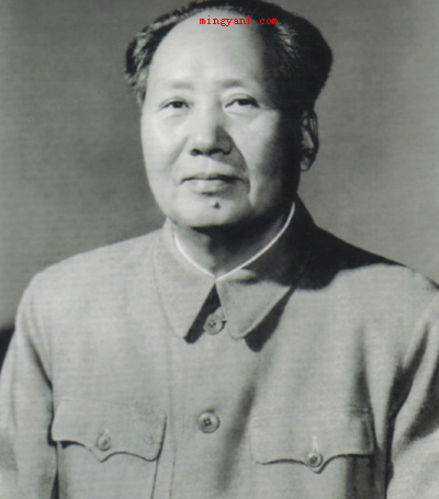 党的七大将什么确立为党的指导思想?
