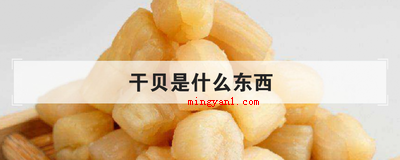干贝是什么东西