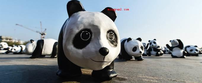 世界野生生物基金会的会徽是什么?