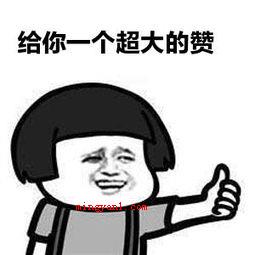 巴适是什么意思?