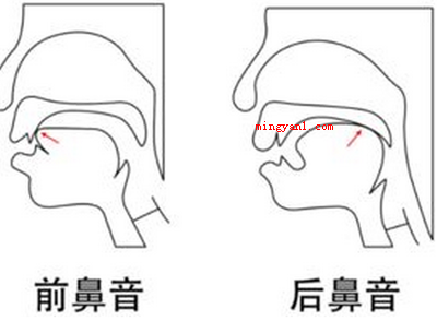后鼻音韵母有哪些?