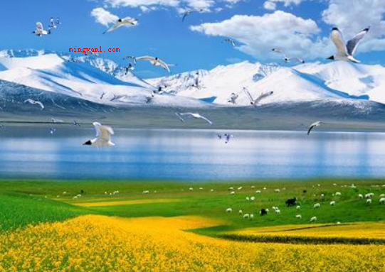 青海是哪个省
