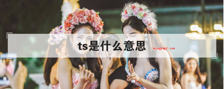 ts是什么意思