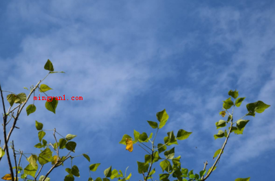 云淡风轻代表什么心情?