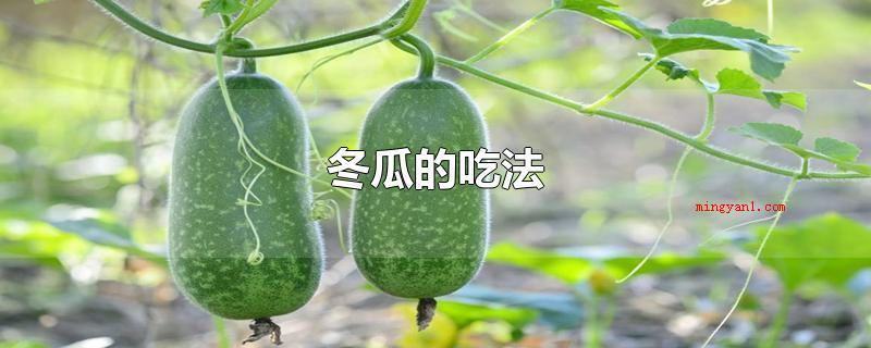 冬瓜的吃法