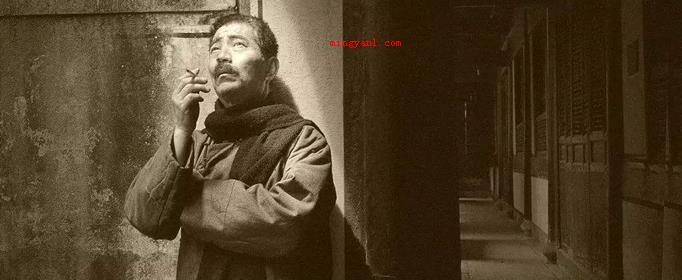 《狗猫鼠》的主要内容是什么?