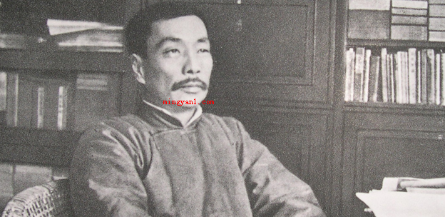 《狗猫鼠》的主要内容是什么?