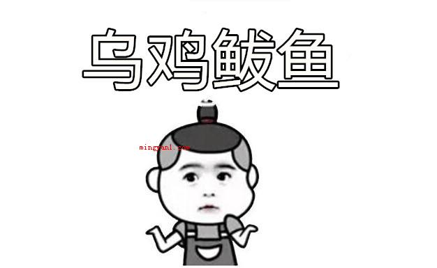 乌鸡鲅鱼是什么梗?