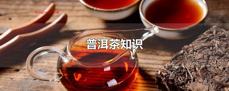 普洱茶知识(生普洱茶以云南省大叶种晒青毛茶为原料)