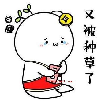种草是什么意思?