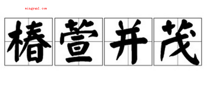 椿萱并茂是什么意思?(椿:多年生长落叶乔木;萱:古人认为可以使人静语的萱草)