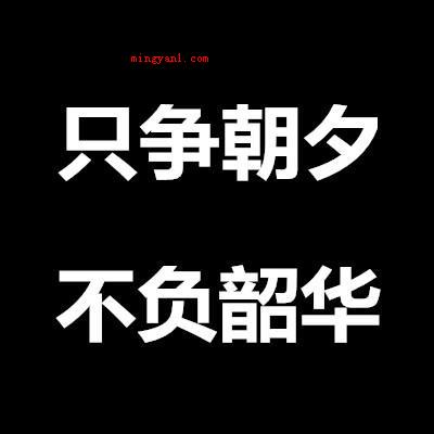 只争朝夕 不负韶华是什么意思(简略回应“时不我待,不负韶华”)