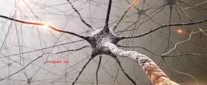 合成毒品直接作用于人的什么?(中枢神经系统软件生成冰毒)