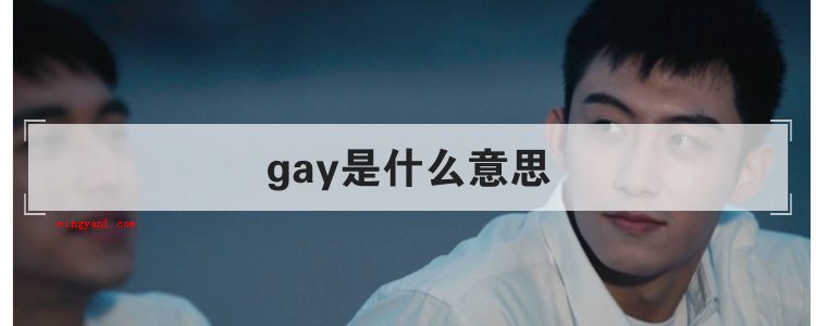 gay是什么意思（简略回应gay既可以作专有名词）