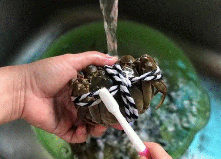 清蒸大闸蟹一般蒸几分钟?(大闸蟹与野生甲鱼一样一直以来被大家当做滋补养生上品)