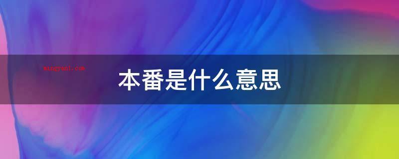 本番是什么意思（日本红灯区是法律法规容许的）