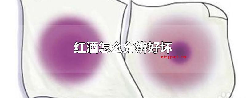 红酒怎么分辨好坏（红酒如何辨别优劣取得红酒时）