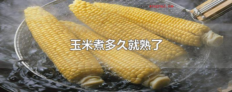 玉米煮多久就熟了(玉米一般煮10)