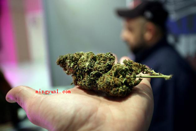 420是什么意思?(誓爱你利用数字的谐音来表达爱意)