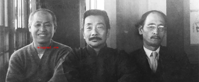 《范爱农》的主要内容是什么?(《范爱农》的主要内容是描述了)