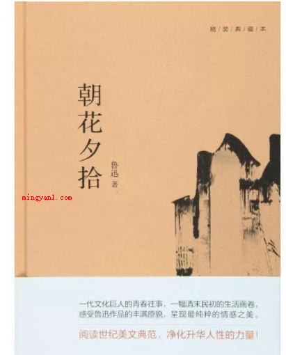 《范爱农》的主要内容是什么?(《范爱农》的主要内容是描述了)