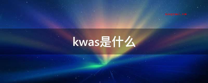 kwas是什么(KAWS这个牌子创始人是位美国人)