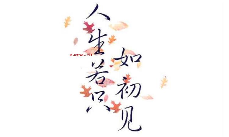 人生若只如初见什么意思(人生若只如初见,什么事)