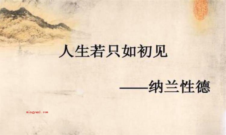 人生若只如初见什么意思(人生若只如初见,什么事)