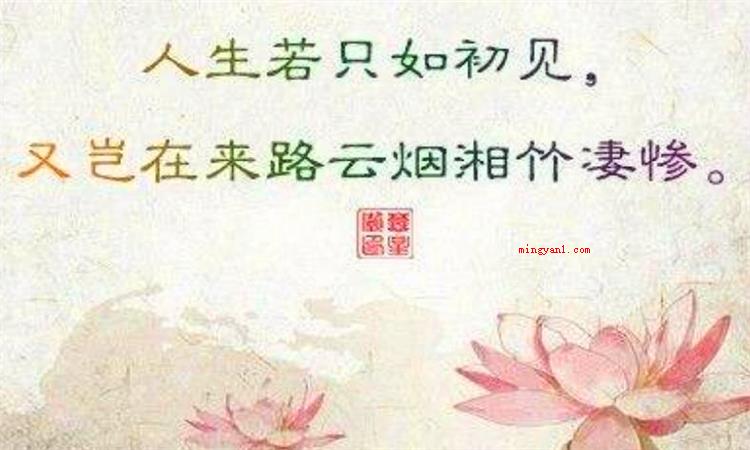 人生若只如初见什么意思(人生若只如初见,什么事)