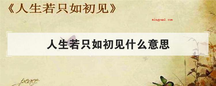 人生若只如初见什么意思(人生若只如初见,什么事)