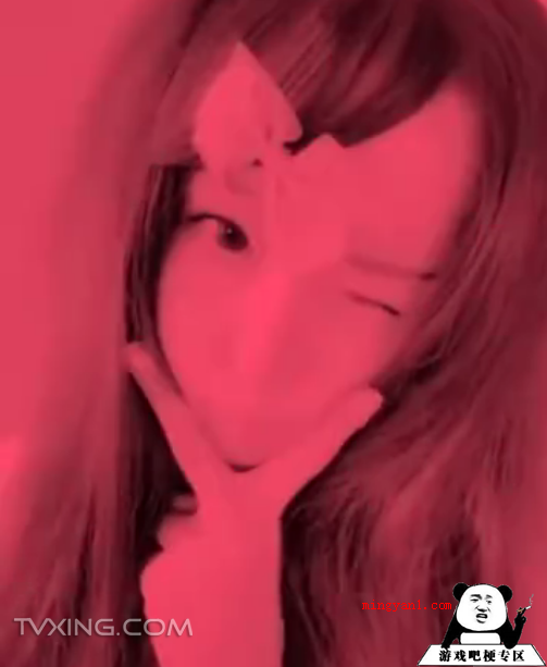 葬爱家族回归是什么梗(葬爱家族代表什么意思 今日热搜榜中出现了一个观点很是惹人眼球)
