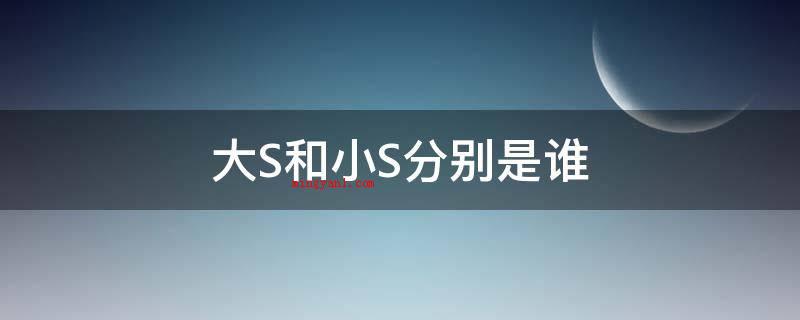 大S和小S分别是谁(台湾电视金钟奖最佳女主角)