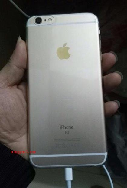 钉子户是什么意思(iPhone 12系列产品发布后,坚持不懈应用老款经典商品的)