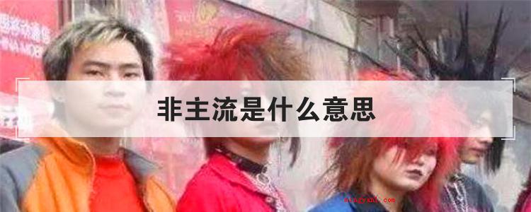 非主流是什么意思(简略回应非主流是个汉语词汇,含意就是指和那时候“流行”)