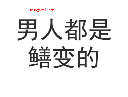 黄鳝我们走是什么梗（继皮皮虾、象拔蚌我们走以后,黄鳝也成了网民们的座骑神兽之一了）
