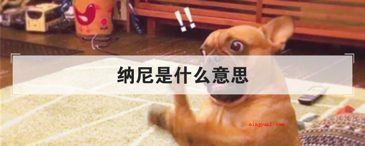 纳尼是什么意思(简略回应纳尼“通常就是什么的意思,或是是表述天呐等含意”)