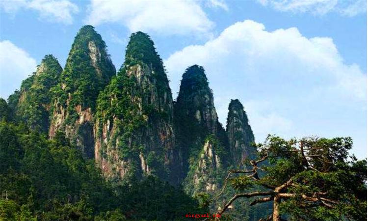 五指山在哪里（海南五指山哪个地方最好?）