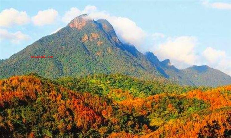 五指山在哪里（海南五指山哪个地方最好?）
