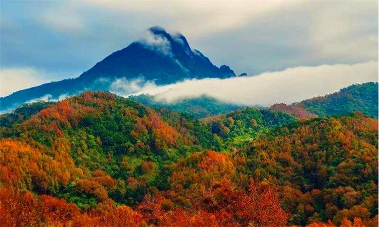 五指山在哪里（海南五指山哪个地方最好?）