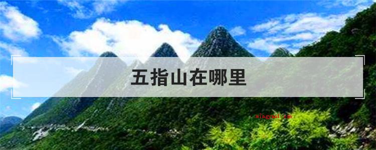 五指山在哪里（海南五指山哪个地方最好?）