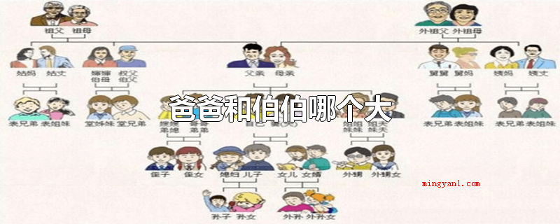 爸爸和伯伯哪个大（父亲和伯伯哪一个大伯是爸爸的哥哥,伯伯是一些地区的家乡话）