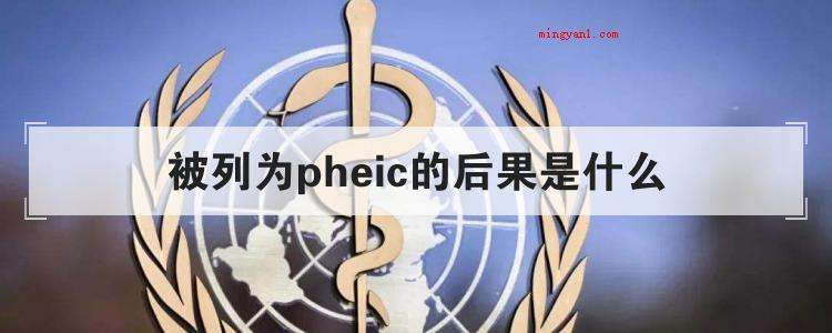 被列为pheic的后果是什么(简略回应假如公布某一疫情为PHEIC,对所在国或区域的经济发)